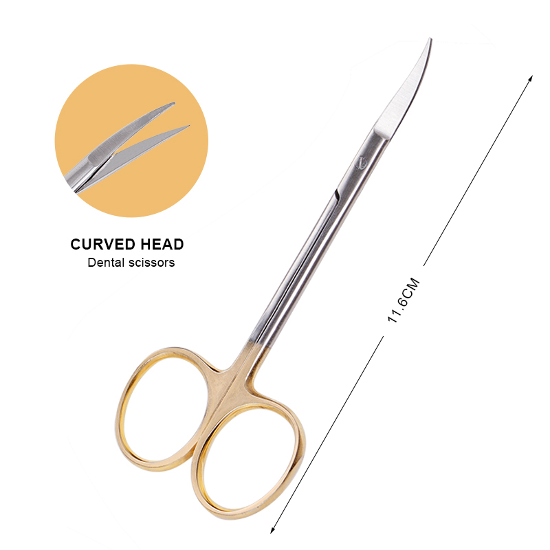 치과용 스테인리스 스틸 의료 수술 가위, 직선 및 곡선 - Medical Scissors 리뷰 및 가격