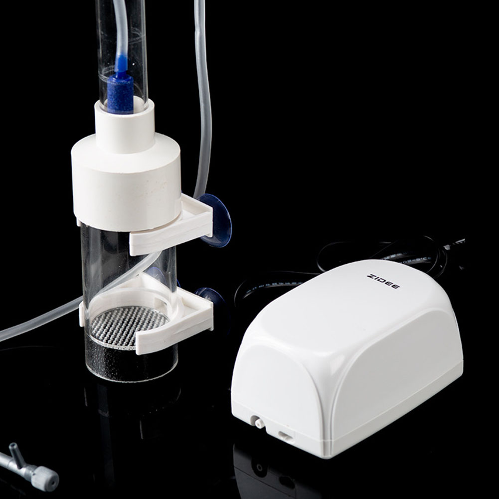 40mm 텀블러 인큐베이터 물고기 부화장 입 육추 수족 - Lab Incubator 리뷰 및 가격