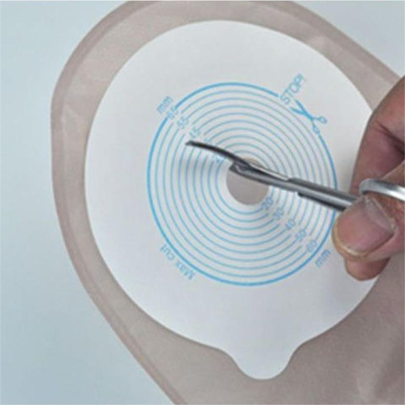 Ostomy 가방, 둥근 머리, 곡선 디자인, 가방 바 - Medical Scissors 리뷰 및 가격