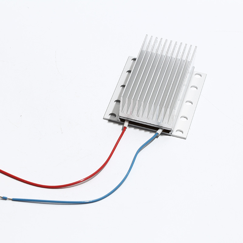 1PC 73x63x27mm PTC 일정한 온도의 열판이 - Lab Incubator 리뷰 및 가격