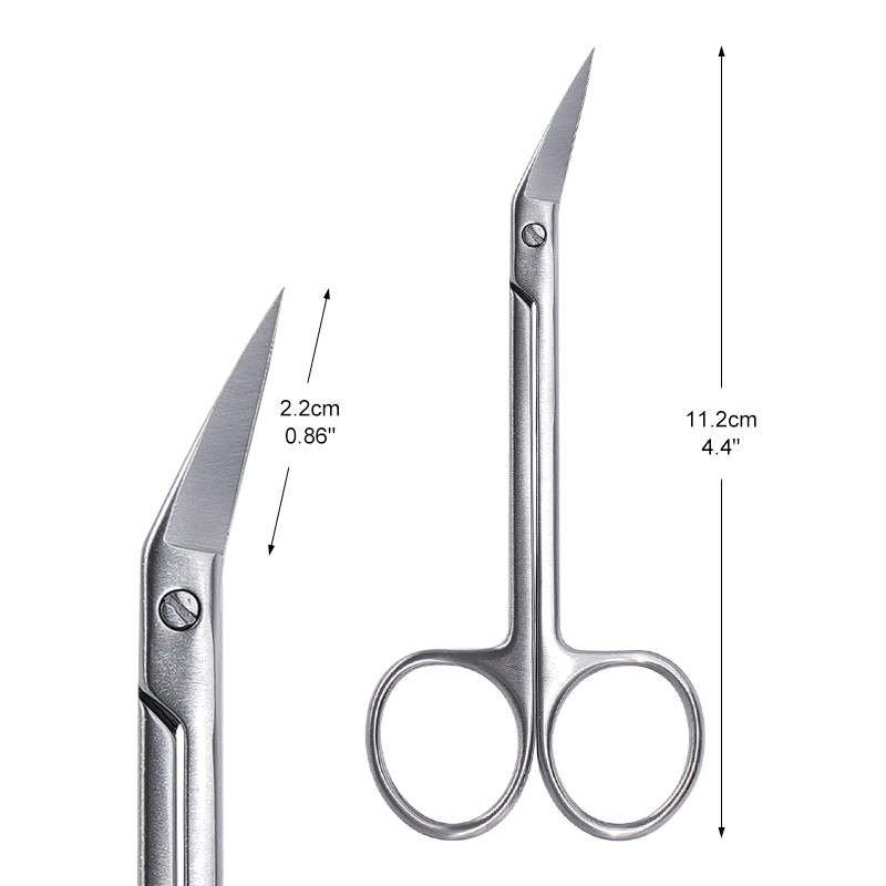 1개 치과용 미세 가위 곡선형 헤드 스테인리스 스틸 블 - Medical Scissors 리뷰 및 가격
