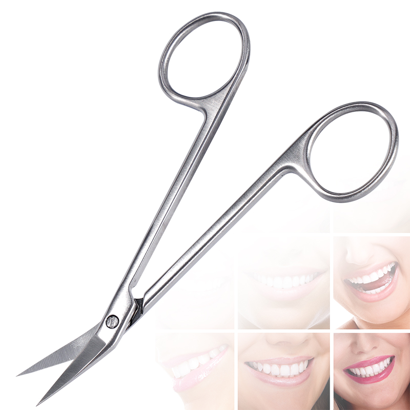 1개 치과용 미세 가위 곡선형 헤드 스테인리스 스틸 블 - Medical Scissors 리뷰 및 가격