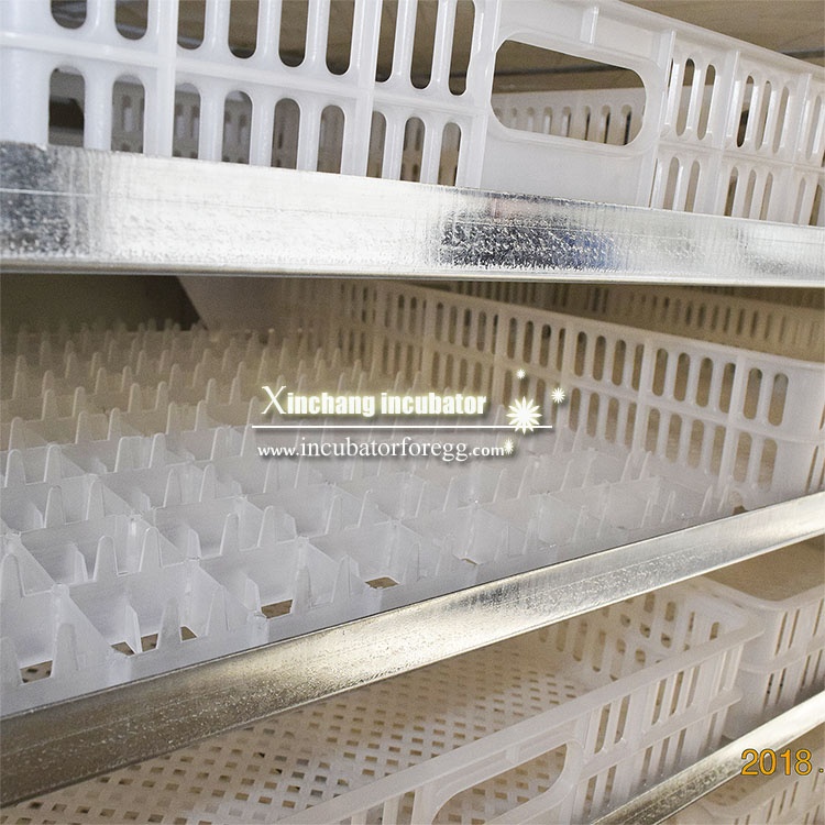 5000개 계란 소규모 사업용 계란 트레이 부화기, 태 - Lab Incubator 리뷰 및 가격